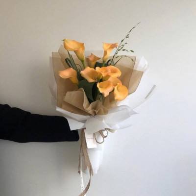 可下分电玩app下载